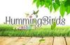 Hummingbirds Preschool